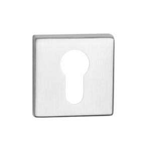 INOX Stainless Steel Cylinder Lock Cover