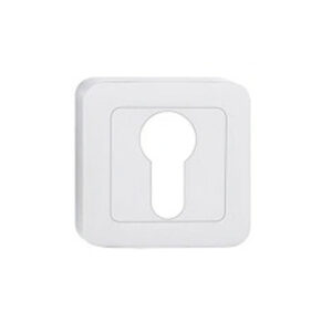 Brushed Nickel/Chrome Cylinder Lock Cover
