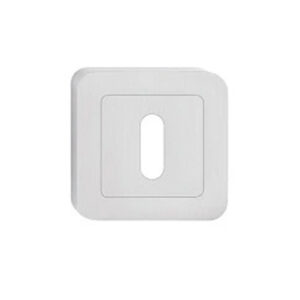 Brushed Nickel/Chrome Standard Lock Cover