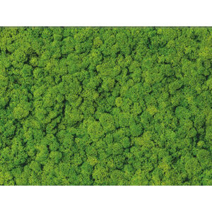 Fresh moss glass inserto 29x59 Plytki Cersanit