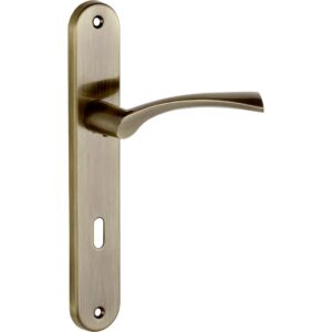 Noa Antique Patina Door Handle
