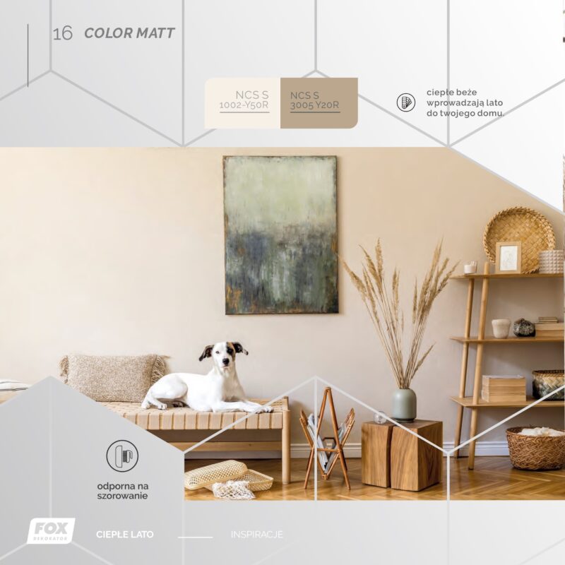 Farba Color Matt FOX Dekorator - obrazek 2