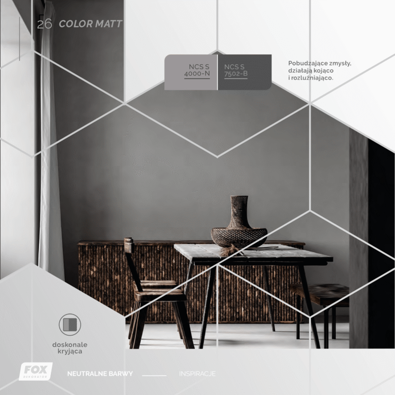 Farba Color Matt FOX Dekorator - obrazek 6