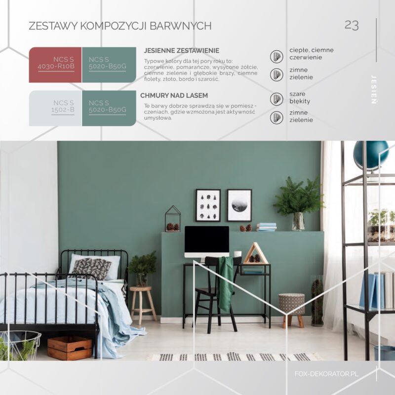 Farba Color Matt FOX Dekorator - obrazek 11