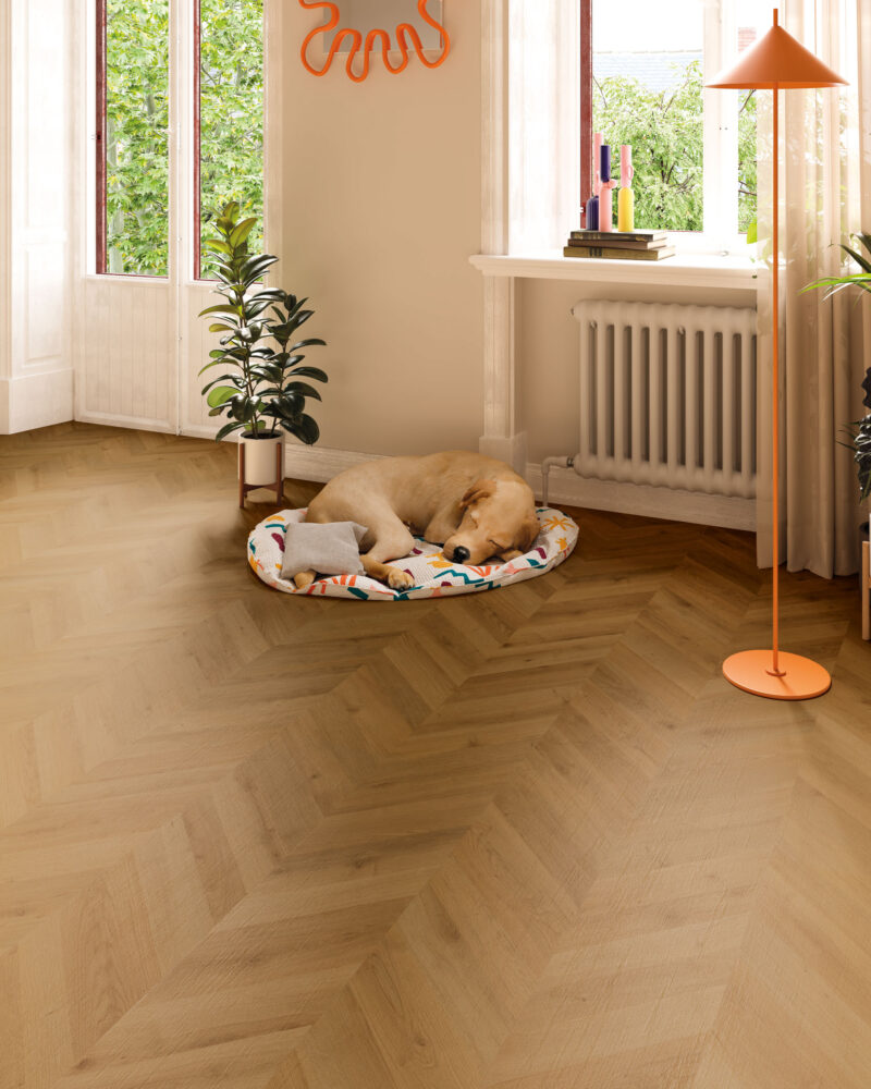 Chevron Dijon 8mm Panele Podłogowe 1.88m2 Finfloor - obrazek 3