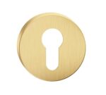 Corsa Gold Mat Stainless Steel INOX Cylinder Lock Cover