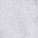 Tynk Japoński 21/3 825g Poldecor