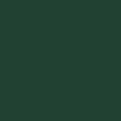 Ciemny zielony RAL (6012)
